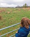 Fury over 400 homes planned on rural site0