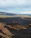 Beauty spot ravaged by second blaze in 36 hours16