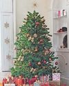 The true meaning of Christmas14