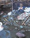 FEARS AFTER SWANS BUILD NEST IN PILE OF RUBBISH13