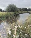 Collapsed river bank to get £360k stabilisation works this summer Collapsed river bank to get £360k stabilisation works this summer