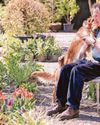One man and his dog... and their RHS garden One man and his dog... and their RHS garden