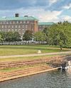 Call for council to move back to County Hall Call for council to move back to County Hall