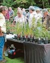 Plant treats in store for gardeners at Minster fair26