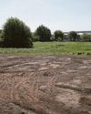 Housing plan 'last chance' to bring more families back to student area0