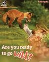 Check out the wildlife close to where you live23