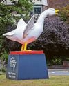 Vandals warned: Stay off Goosey Vandals warned: Stay off Goosey1