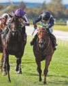 Surrey Belle looks set to strike in the Cesarewitch24