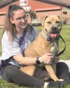 Dogs still held in police kennels months after 'malicious' complaint3
