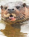 Nottingham Post