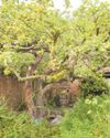 Nottingham Post