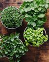 An easy way to happy herbs38
