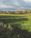 Councillors defer homes plan to assess impact on landscape4