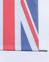 Anti-racism campaign was not in response to Reform flags says NHS trust9