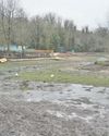 Swans and ducks stuck after pond drained by council8