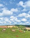 MP joins campaign group with anger at council over homes approval for fields6