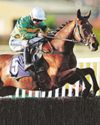 Nottingham Post
