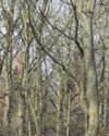 Nottingham Post