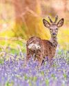Nottingham Post