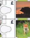 Nottingham Post