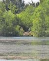 Social media video of lake death teen a ‘complete disgrace’2