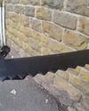 Machetes seized from balaclava-clad teenagers Machetes seized from balaclava-clad teenagers2