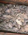 Worker's warning over loos Worker's warning over loos