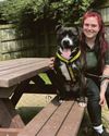 Urgent appeal for dog foster carers to ease strain Urgent appeal for dog foster carers to ease strain