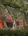 Vehicles burnt out after lawnmower catches alight Vehicles burnt out after lawnmower catches alight