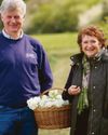 You are cordially invited to pick some elderflower You are cordially invited to pick some elderflower