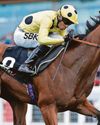 Rosallion can win Lockinge Stakes at Newbury today Rosallion can win Lockinge Stakes at Newbury today