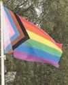 Social workers oppose County Hall flag policy2