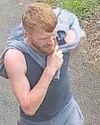 Diagnostic scanner is stolen from van2