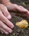 Help to get growing your grub Help to get growing your grub23