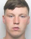 Month-long burglary spree in county ends in jail term1