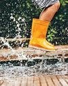 Rain gardens make a splash Rain gardens make a splash40