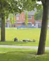 June heat record broken for second successive day...13