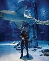 Snakes, sharks, sneaky hippos... wildlife is my safe space15