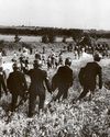 Inquiry into violence during miners' strike at Orgreave11
