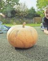 Halloween was the perfect time to show off pumpkins Burton Mail