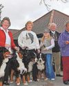 Dogs came together for special Christmas show!21
