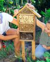 Check-in time for minibeasts Check-in time for minibeasts27