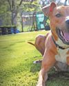 Can you provide a forever home?2