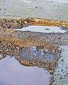 Breakdown company calls for permanent solutions to rid our roads of potholes Breakdown company calls for permanent solutions to rid our roads of potholes
