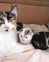 Here's hoping for a furry loving new home next weekend... Here's hoping for a furry loving new home next weekend...