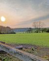 Solar panels on fields could save farming for generations, say family Solar panels on fields could save farming for generations, say family