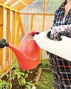 GIVE IT A GOOD SHRUB31