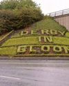 Blooming shame as iconic city hedge display has disappeared7