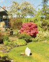 Take a peek at quirky town's gardens and enjoy station floral displays from train3