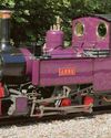Gauge locomotives can attend railway exhibition thanks to Gathering of track10